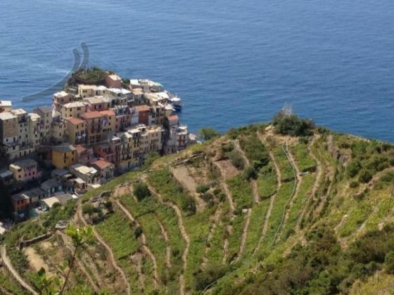 Appartamento Vacanze "Borgo Cinque Terre" Volastra Manarola Exterior photo